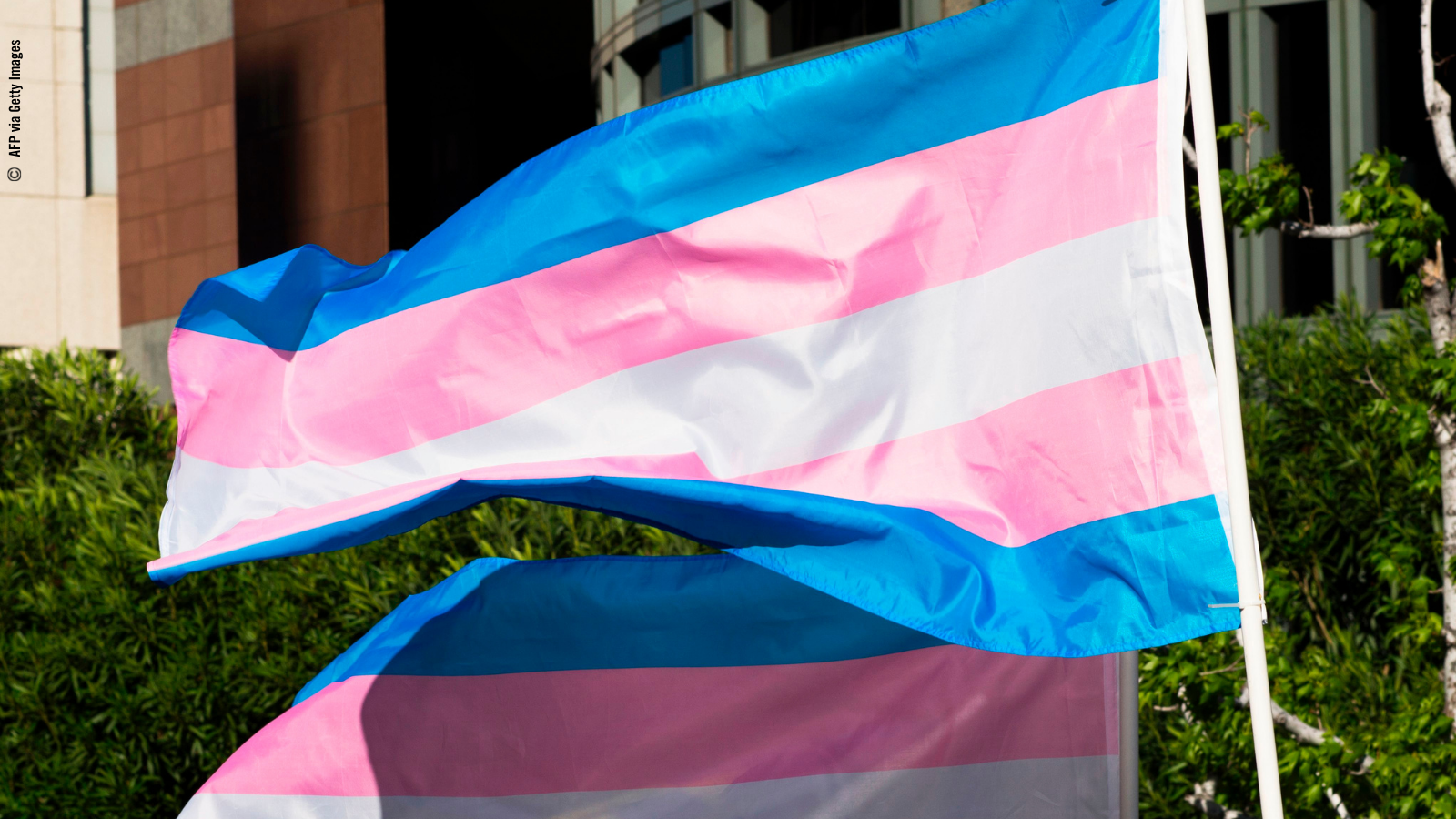 La transfobia que no cesa