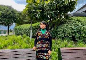 Guillermina Edith Juárez Leyva, defensora de derechos humanos de Oaxaca, México